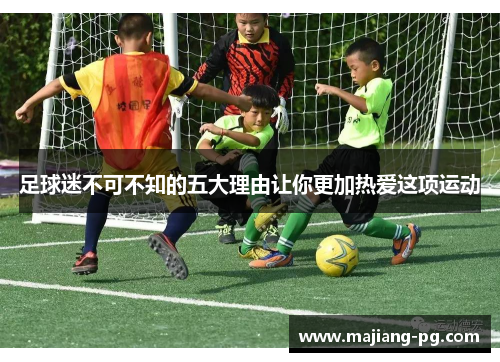 足球迷不可不知的五大理由让你更加热爱这项运动 足球迷不可不知的五大理由让你更加热爱这项运动