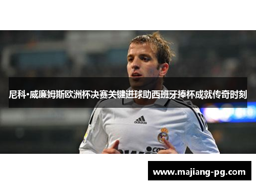 尼科·威廉姆斯欧洲杯决赛关键进球助西班牙捧杯成就传奇时刻