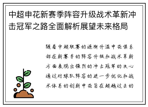 中超申花新赛季阵容升级战术革新冲击冠军之路全面解析展望未来格局
